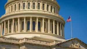 Senate votes to approve ‘Bat Week;’ no vote to end shutdown